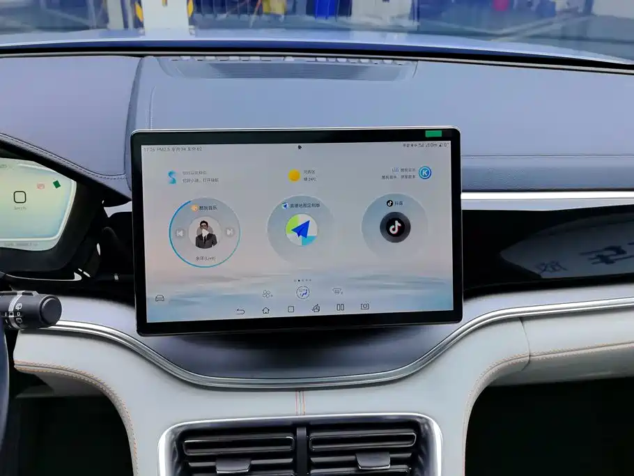 BYD PLUS New Energy — миниатюра 13