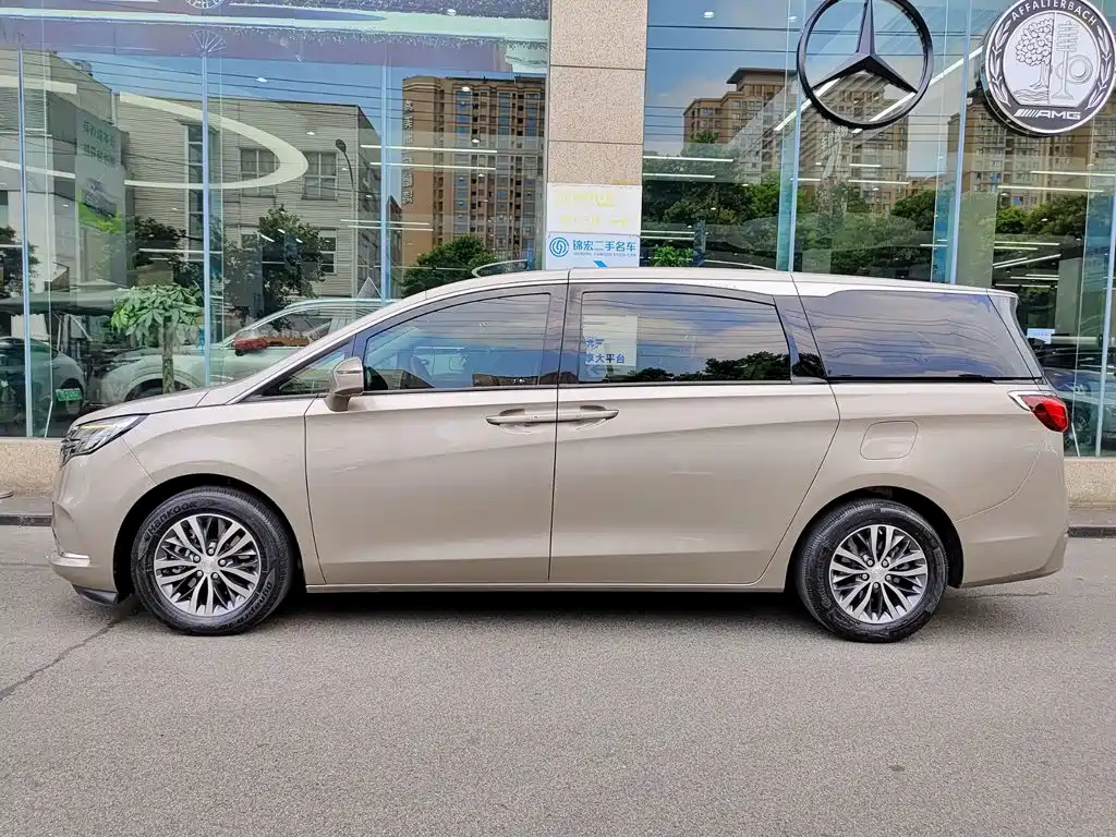 Buick GL8 ES LandKing 653T Comfort Type, фото 3