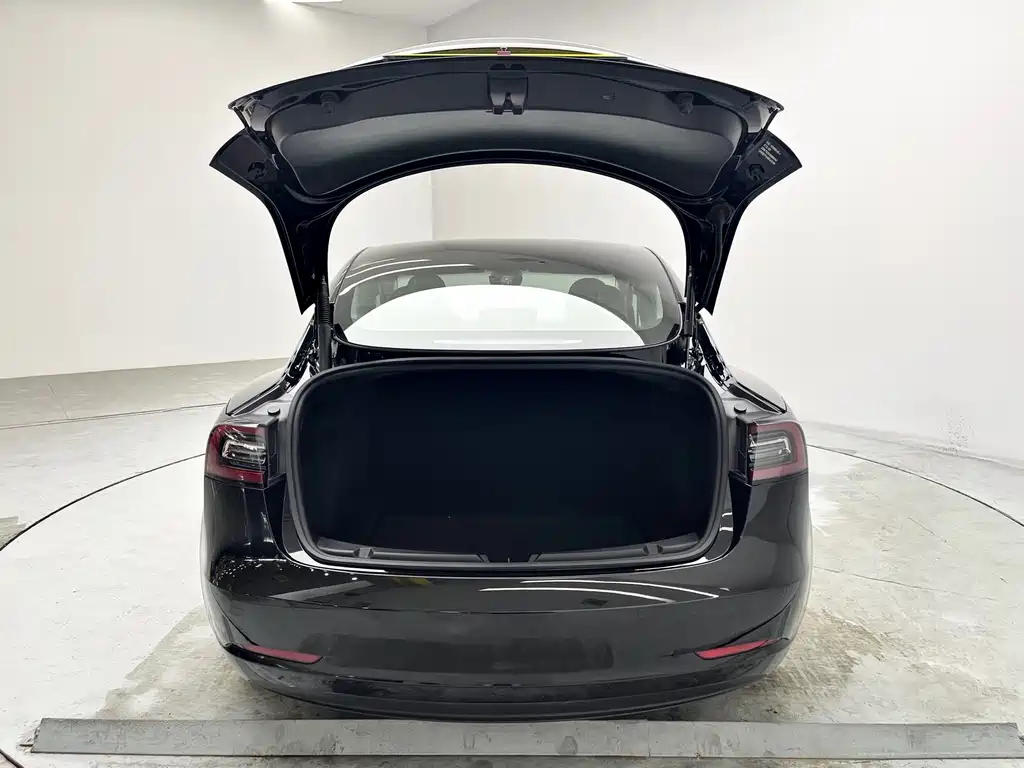 Tesla Model 3 — миниатюра 11