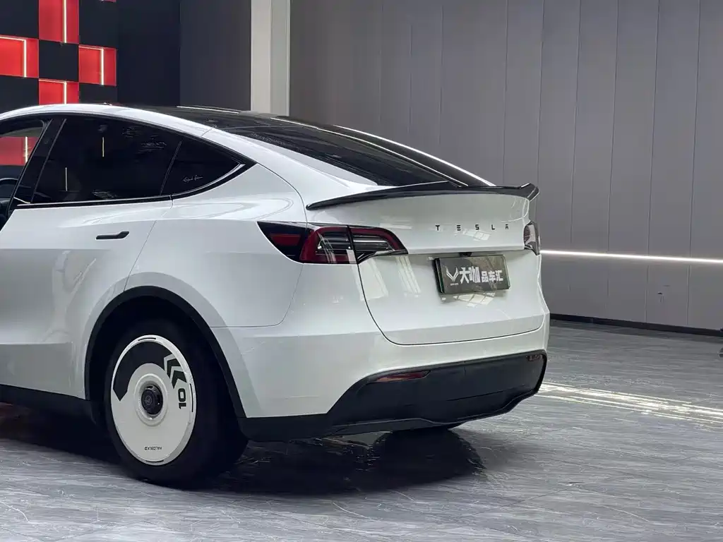 Tesla Model Y — миниатюра 6