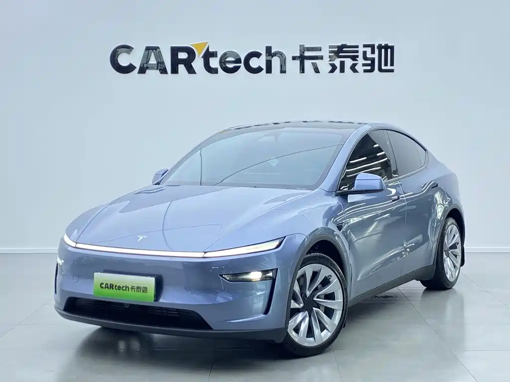 Tesla Model Y — миниатюра 11