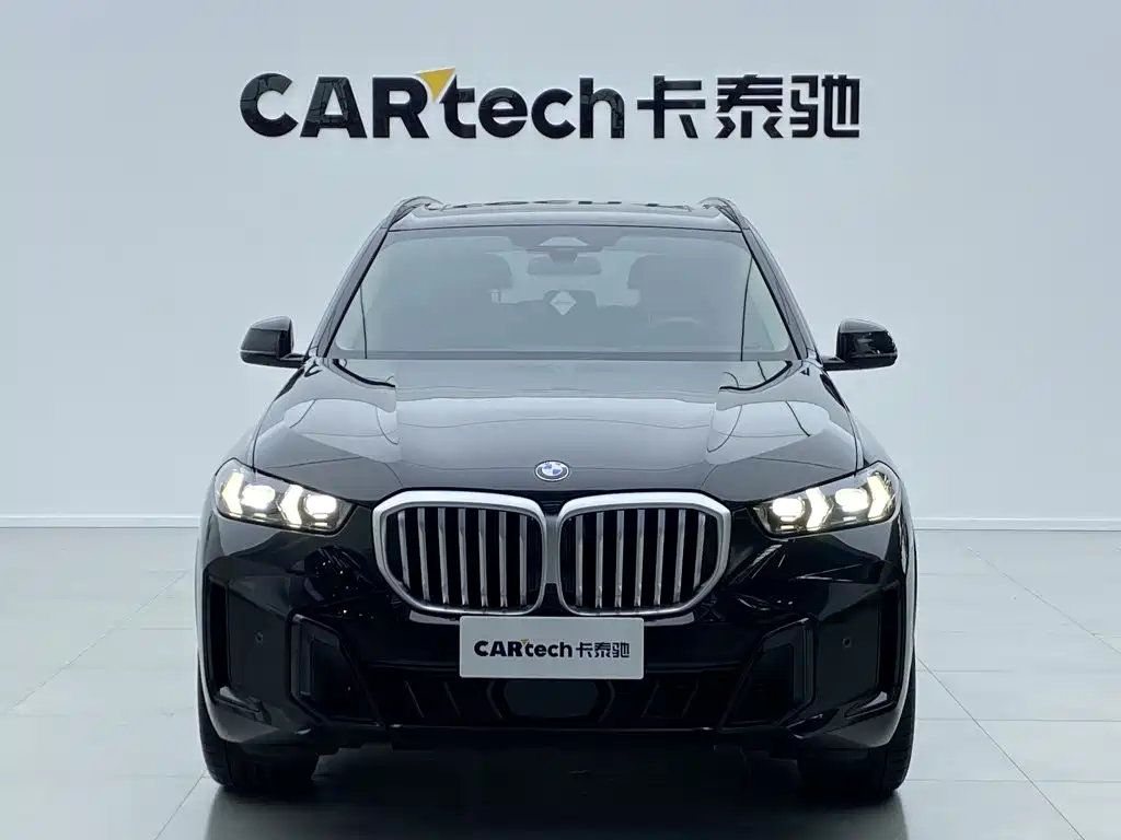 BMW X5 — миниатюра 2