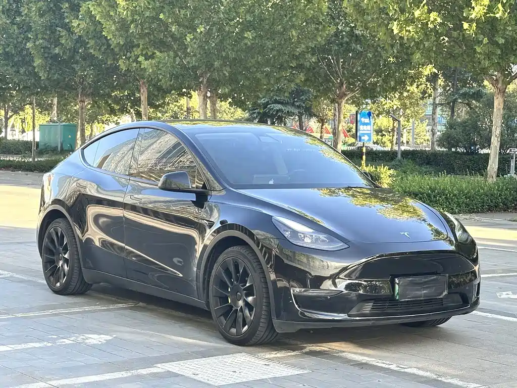 Tesla Model Y — миниатюра 3