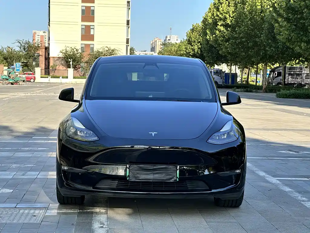Tesla Model Y — миниатюра 2