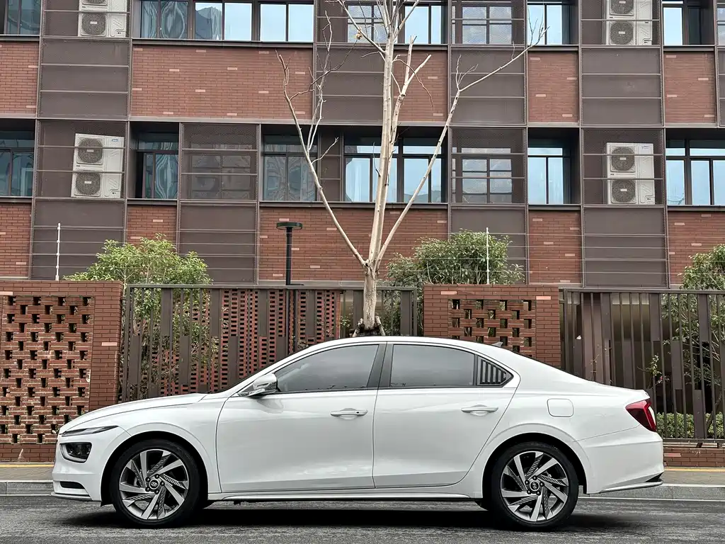 HYUNDAI NAME PICTURE