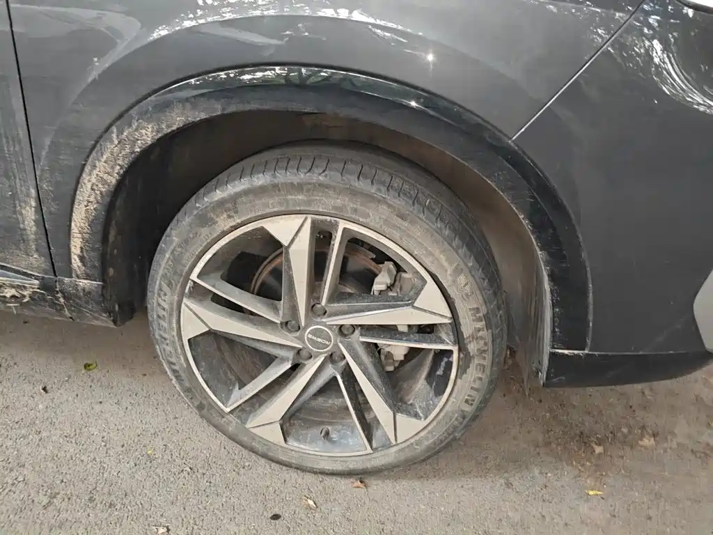 Roewe RX5 MAX — миниатюра 24