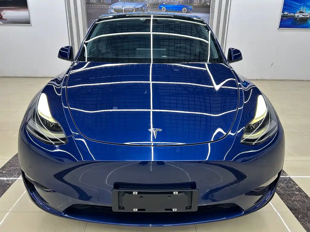 Tesla Model Y — миниатюра 2