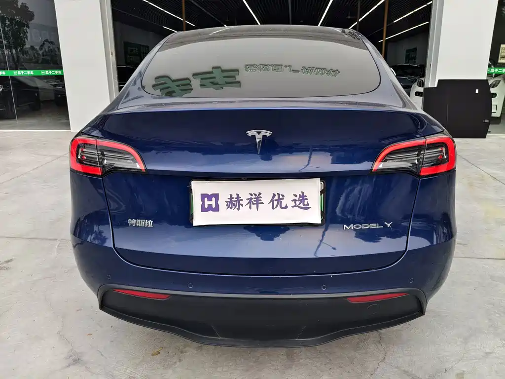Tesla Model Y — миниатюра 14