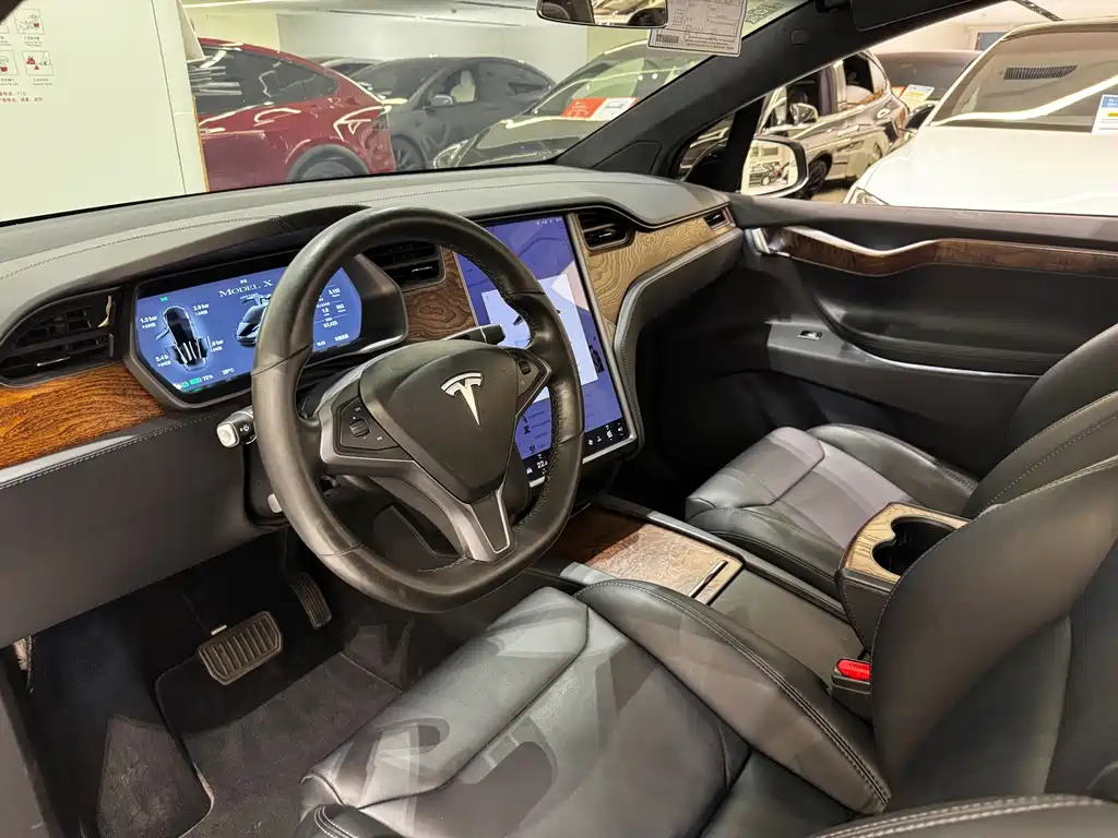 Tesla Model X — миниатюра 8