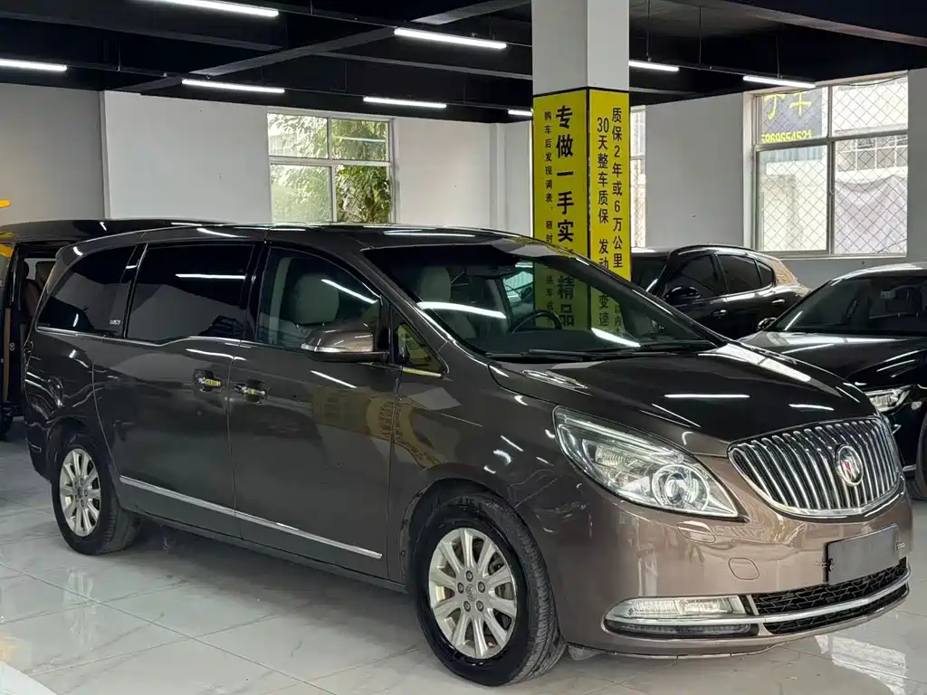 Buick GL8 — миниатюра 3