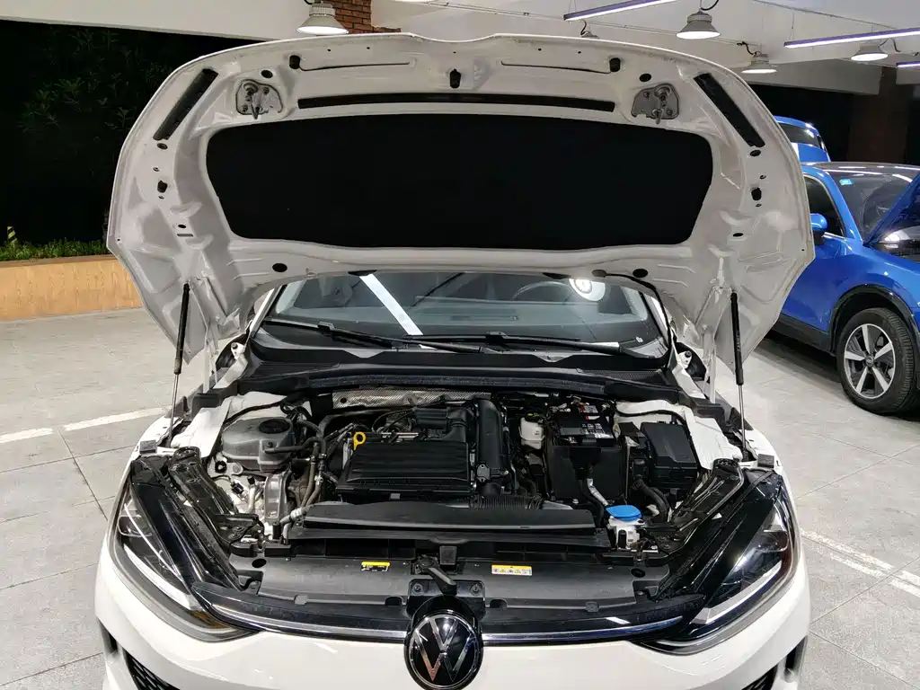 Volkswagen Lamando — миниатюра 19