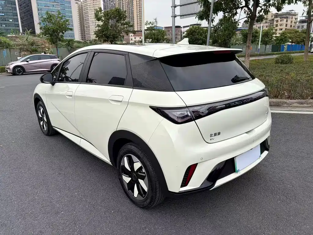 BYD Dolphin — миниатюра 4