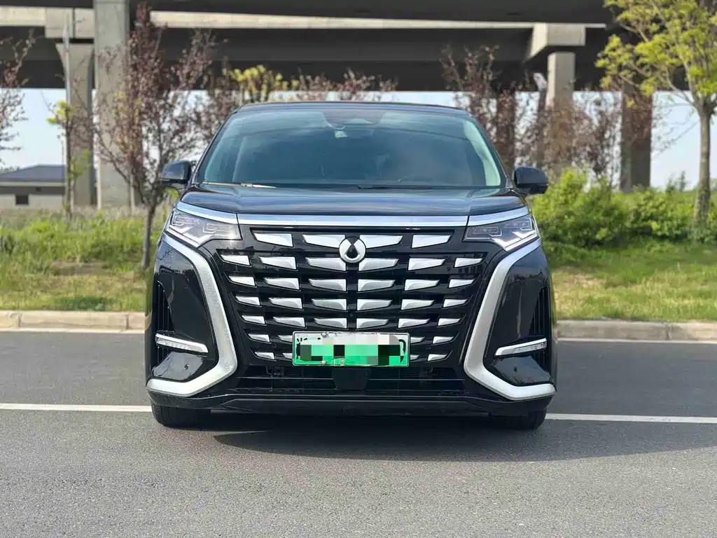 Denza Denza D9 — миниатюра 2