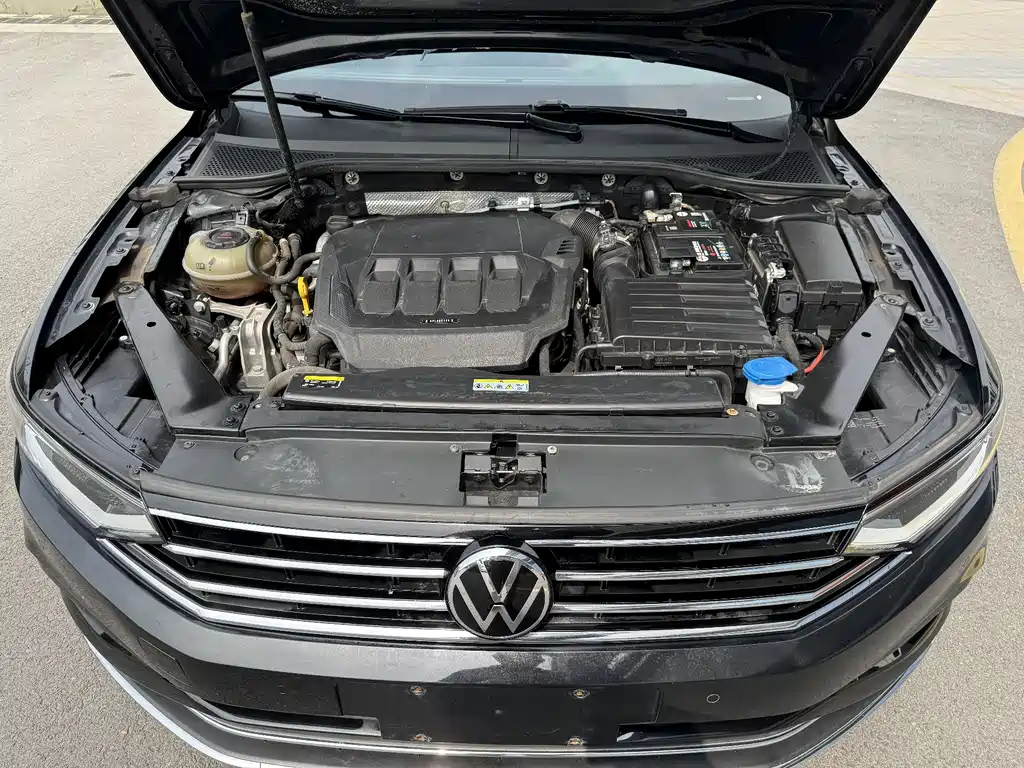 Volkswagen Magotan 2020 330TSI DSG Lead