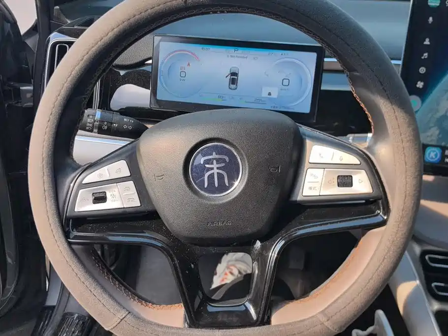 BYD Pro New Energy — миниатюра 15