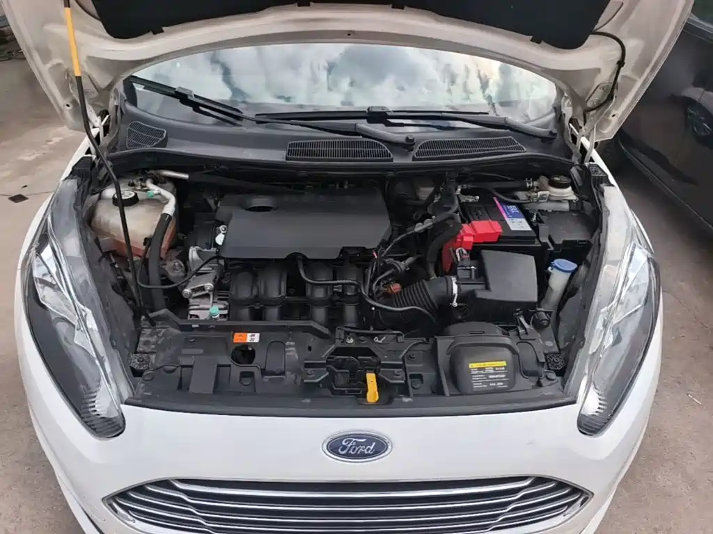 Ford Fiesta — миниатюра 20
