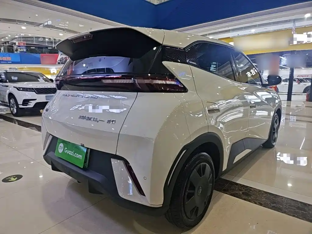 BYD Seagull