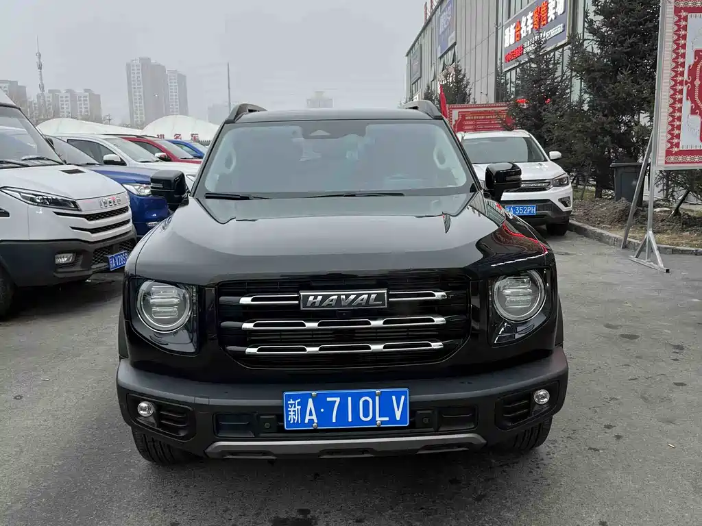 HAVAL BIG DOG