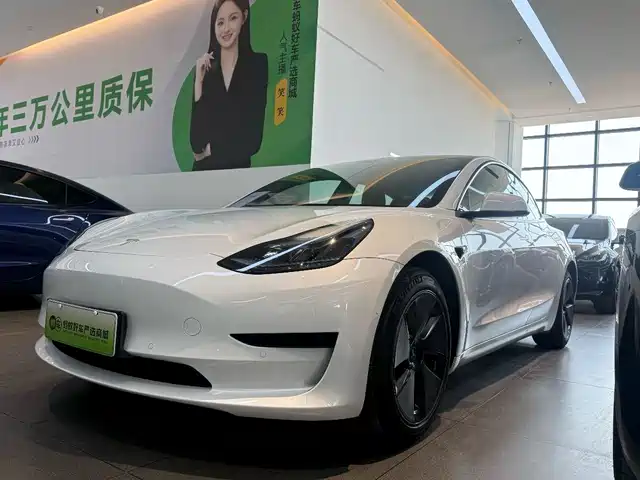 TESLA MODEL 3 2023