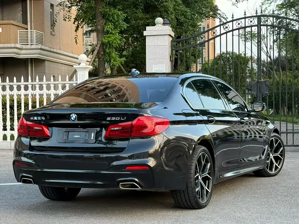 BMW 5 Series 5 2020 525Li M Sport