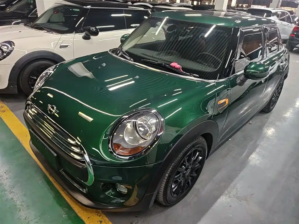 Mini Mini 2017