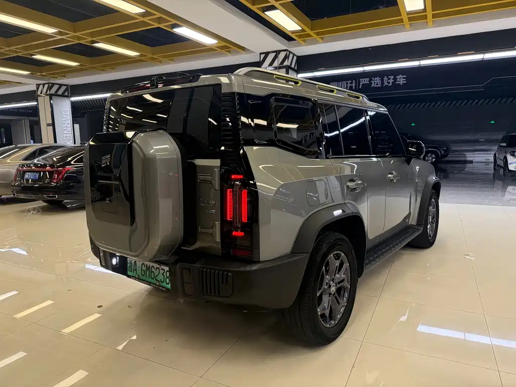Shanhai Краткосрочный путешественник C-DM — миниатюра 5
