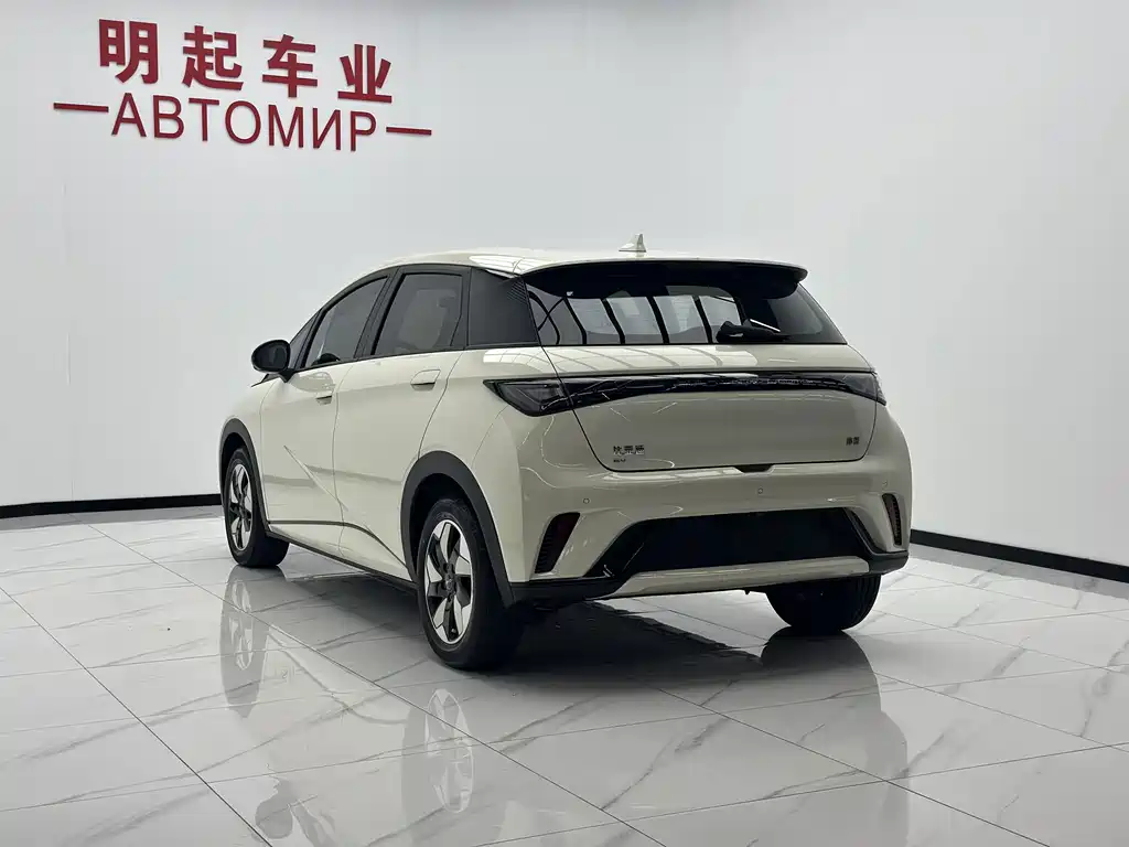 BYD Dolphin — миниатюра 8