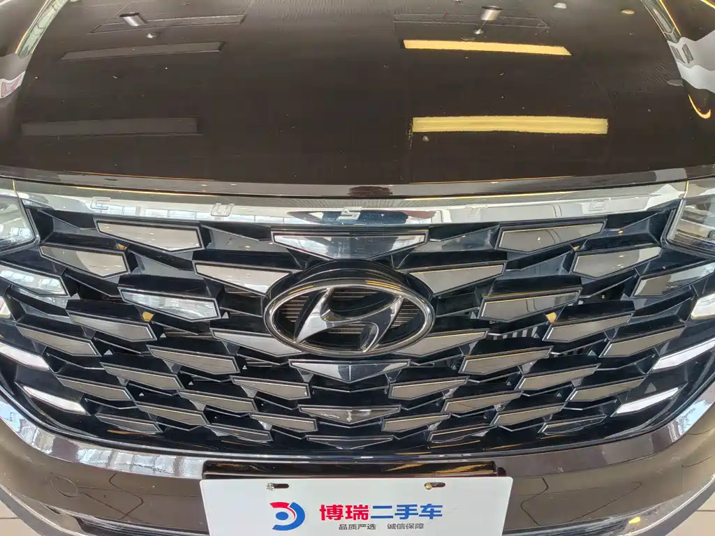 Hyundai Custo — миниатюра 5