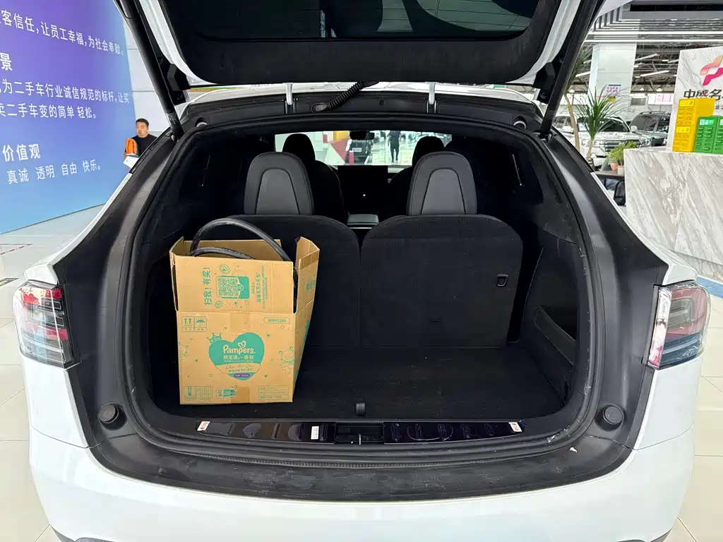 Tesla Model X — фотографии объявления, Фото 24
