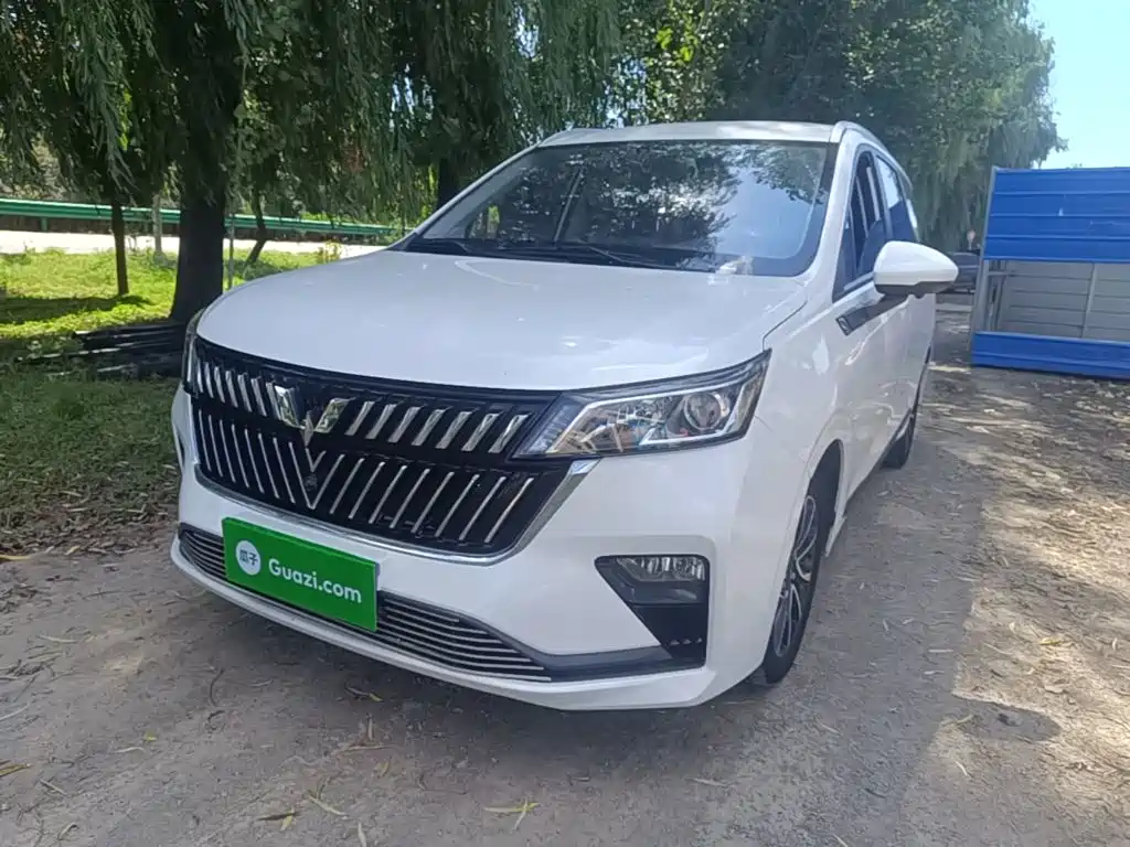 Wuling Jiachen — миниатюра 2