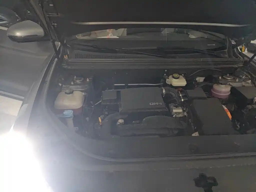 BYD Pro New Energy — миниатюра 22
