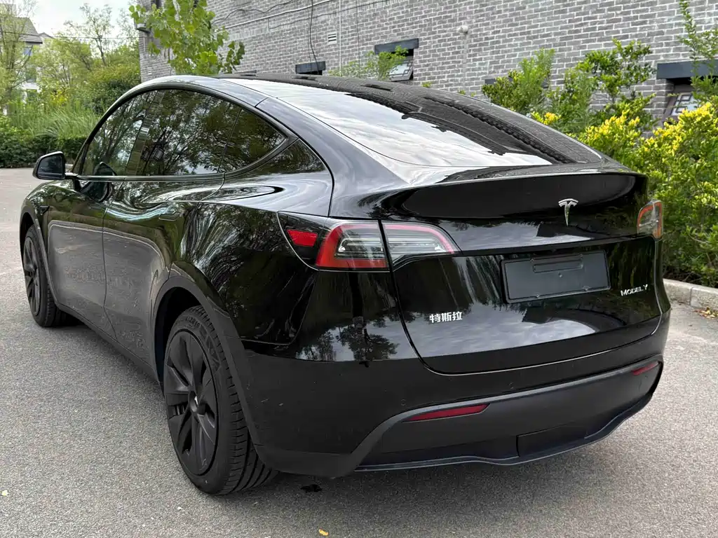 Tesla Model Y — миниатюра 4