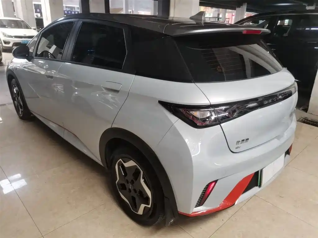 BYD Dolphin 2021 405km Fashion