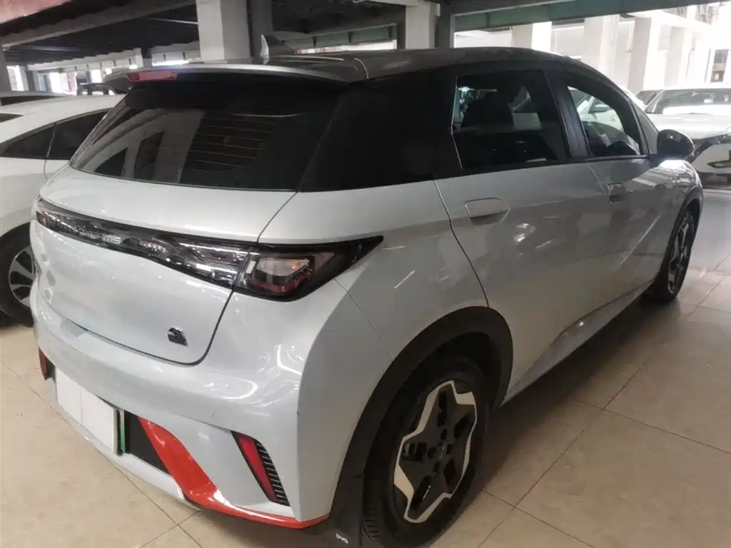 BYD Dolphin 2021 405km Fashion