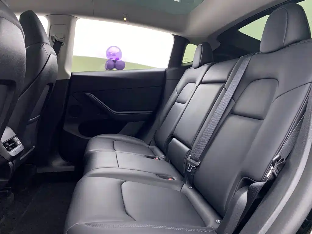 Tesla Model Y — миниатюра 29