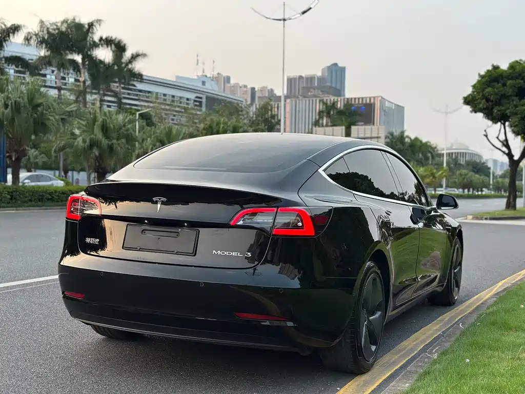 Tesla Model 3 — миниатюра 7