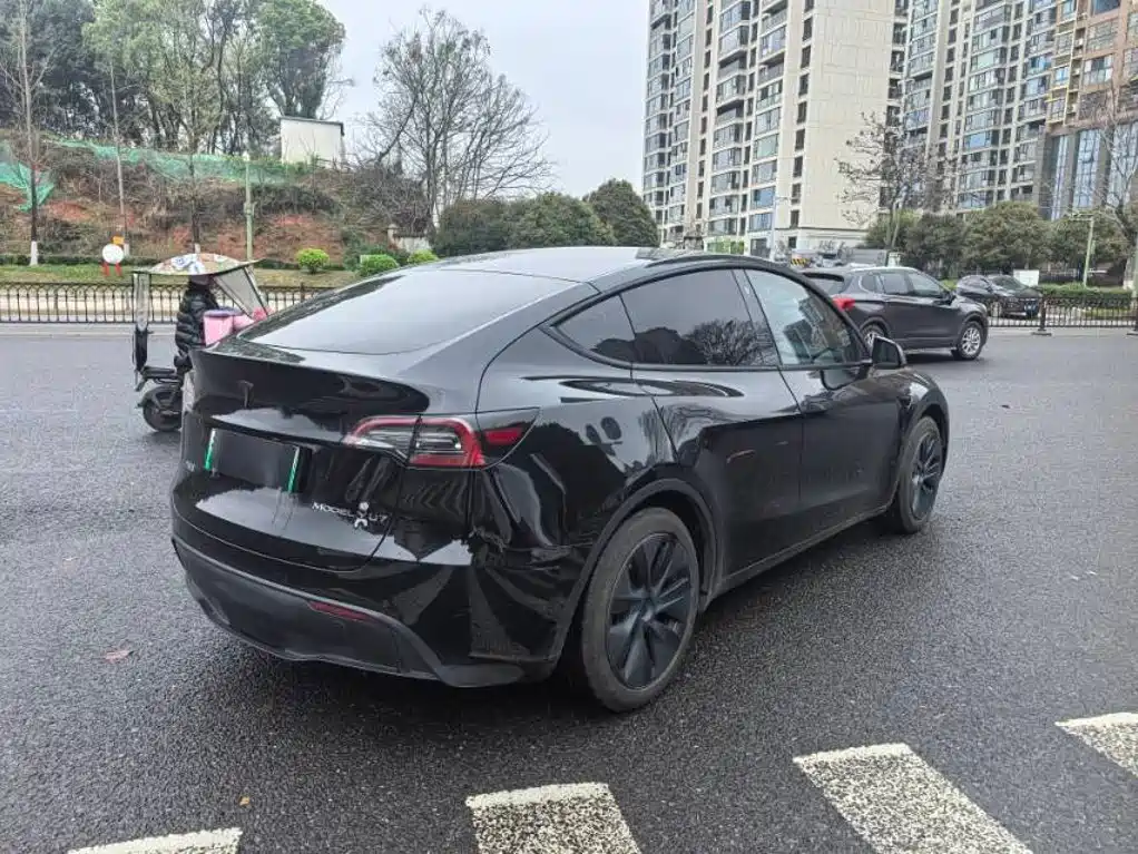 Tesla Model Y — миниатюра 6