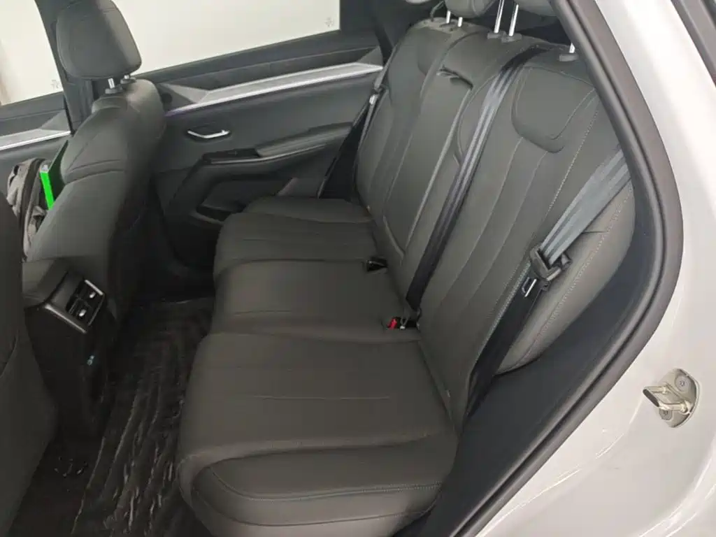 BYD Pro New Energy — миниатюра 17