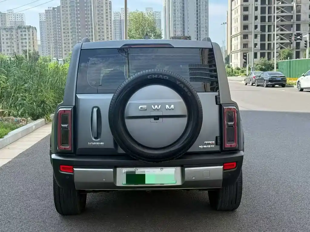 Haval Menglong New Energy — миниатюра 6