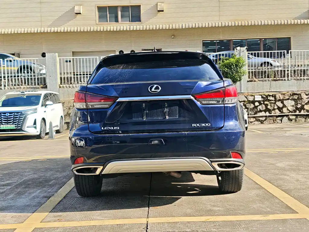 Lexus RX 2020 300 Elegant VI