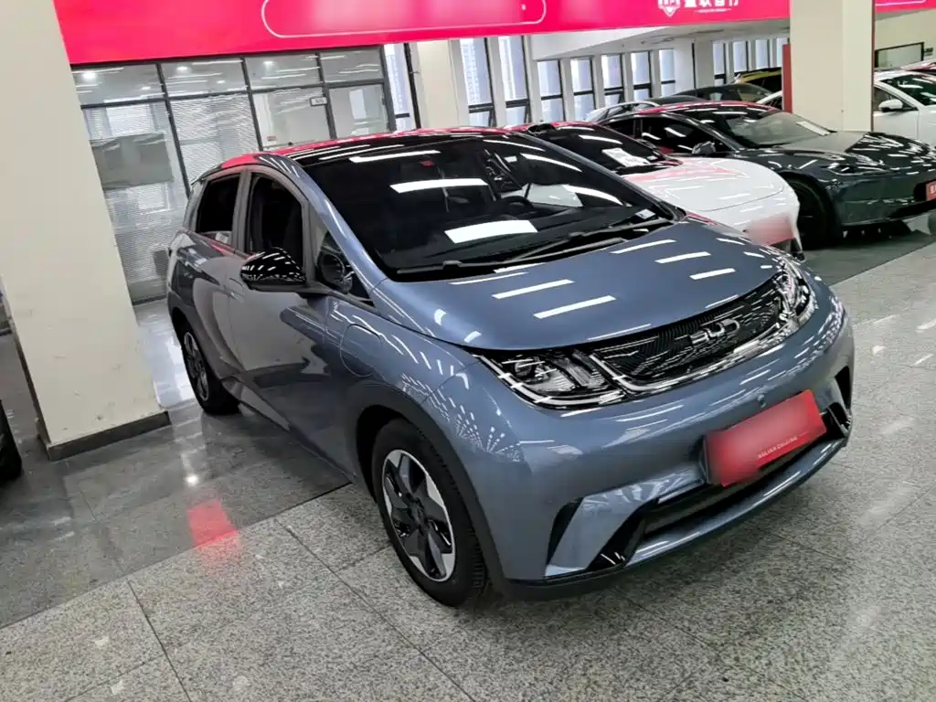 BYD Dolphin — миниатюра 4