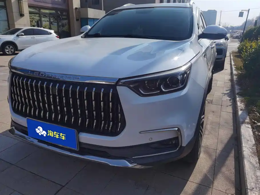 Leopaard Mattu 2019