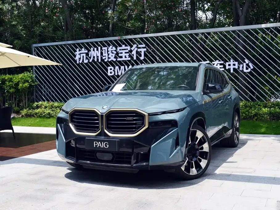 BMW XM — миниатюра 14