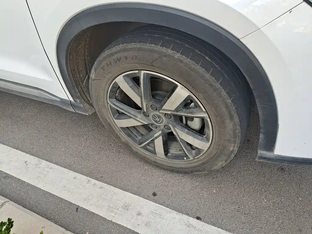BYD Pro New Energy — миниатюра 24
