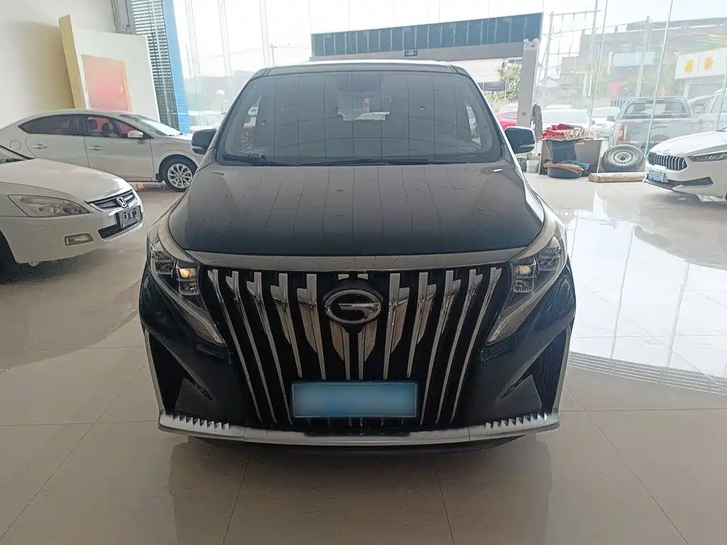 GAC Motor Trumpchi M8 — миниатюра 3