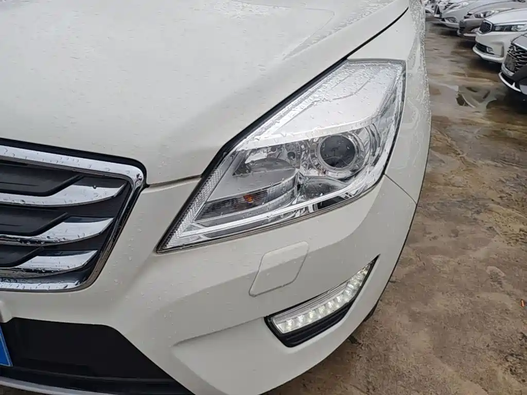 BAW Weiwang S50 — миниатюра 24