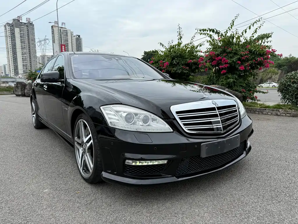 Mercedes-Benz S-Class A MG S AMG 2010 AMG S 65