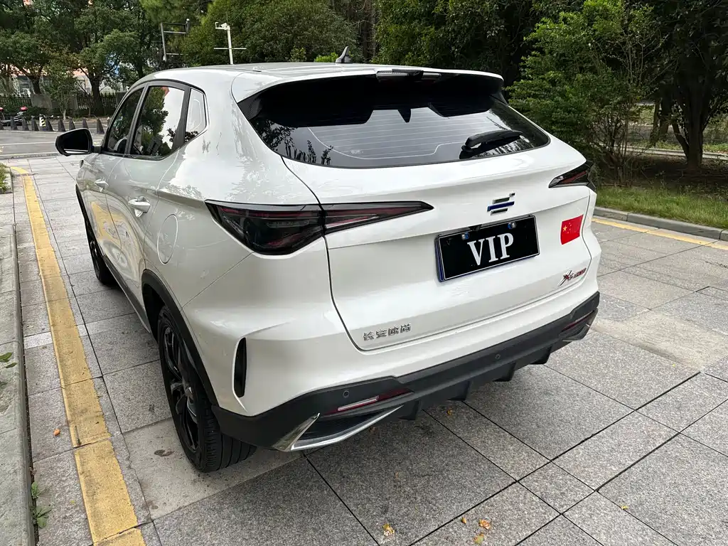 Oshan Oushang X5 PLUS — миниатюра 12