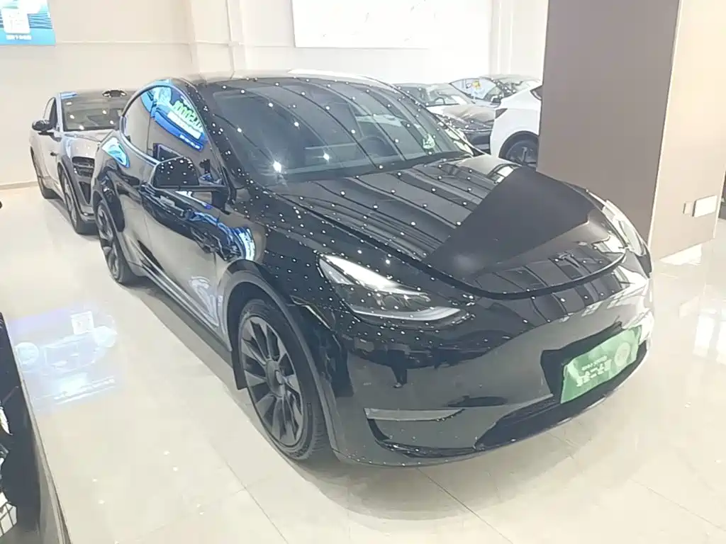 Tesla Model Y — миниатюра 4