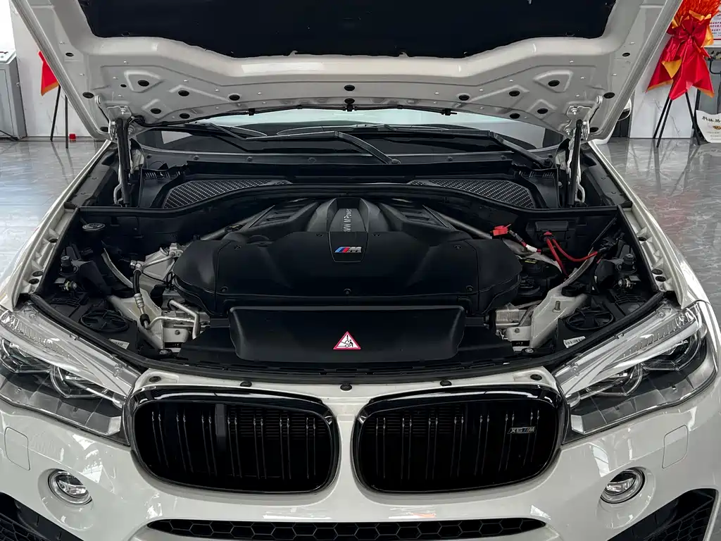 BMW X6 M X6 M, фото 31